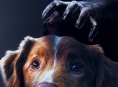 Nisan ayı sonuna kadar Disney+'da Good Boy izleyebileceksiniz