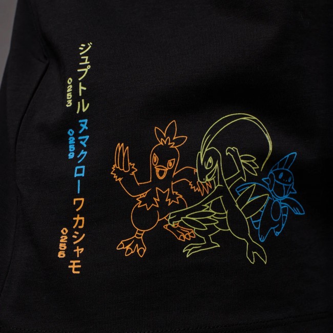 Pokémon, bazı süslü Hoenn parçaları için İtalyan moda markası Dolly Noire ile iş birliği yapıyor