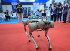 NY okulu, yapay zeka robot &ouml;ğretmen planını &uuml;reticinin seks robot işi y&uuml;z&uuml;nden durdurdu