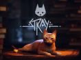 Stray artık Xbox'ta kullanılabilir