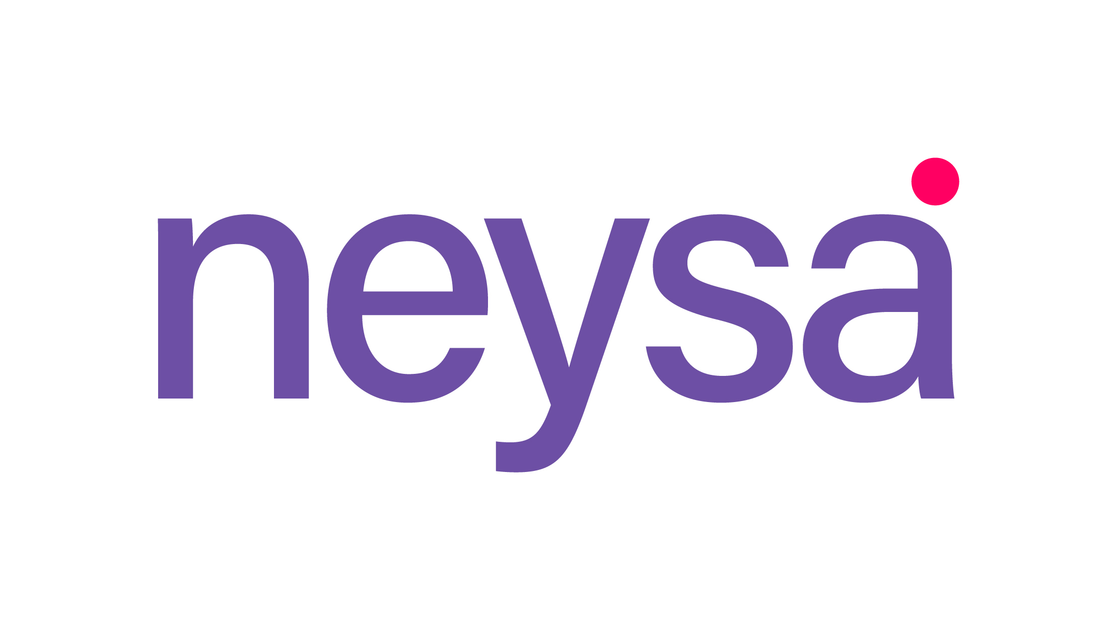 Blackstone, Hindistanlı yapay zeka şirketi Nasay'ya finansman konusunda yardımcı olur