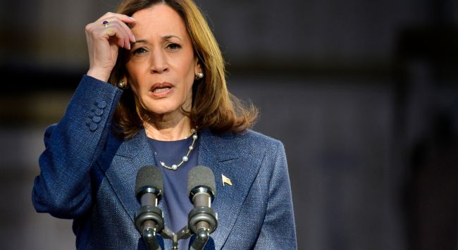 Kamala Harris, ABD'de siyasi sistemin 
