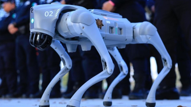 2026 Dünya Kupası'nı robot köpekler koruyacak