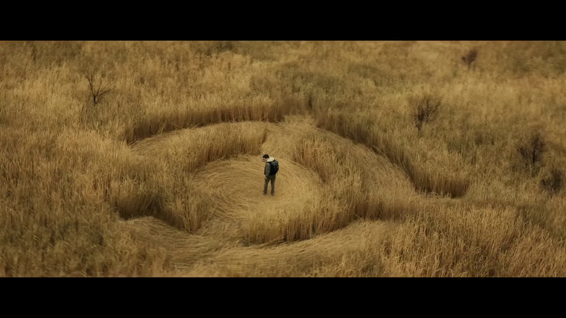 Gerçek, bu Haziran ayında Steven Spielberg'in Disclosure Day filminde ortaya çıkacak