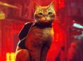 Stray bir animasyon filmi alıyor