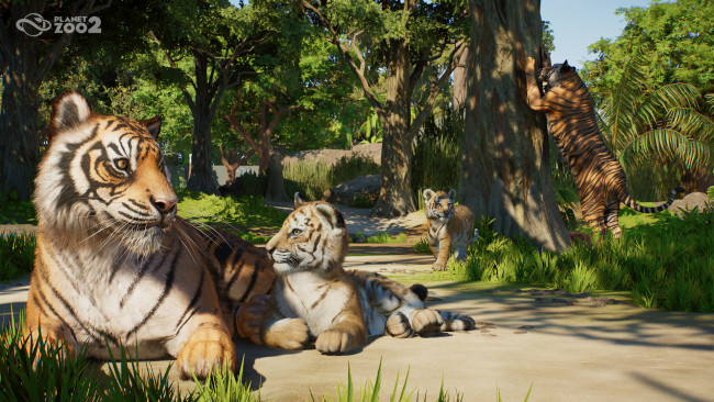 Planet Zoo 2 Önizleme: Planet formülünü yükselten iddialı bir devam filmi