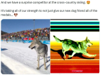 Resmi Olympics X hesabı, viral ama olduk&ccedil;a tehlikeli k&ouml;pek olayı ile ilgili komik g&ouml;nderiyi sessizce sildi
