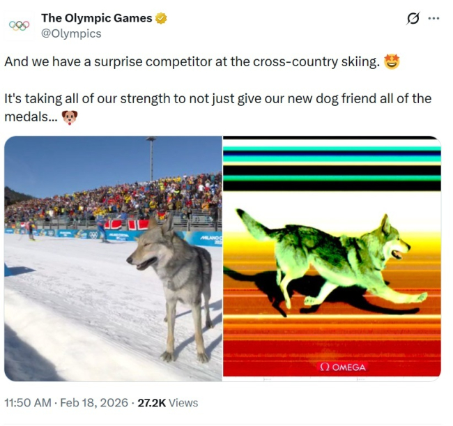 Resmi Olympics X hesabı, viral ama uç riskli it olayı ile ilgili eğlenceli gönderiyi yavaşça sildi
