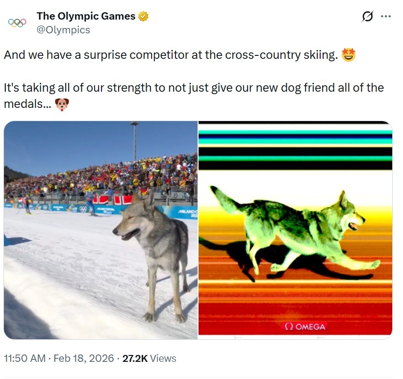 Resmi Olympics X hesabı, viral ama oldukça tehlikeli köpek olayı ile ilgili komik gönderiyi sessizce sildi