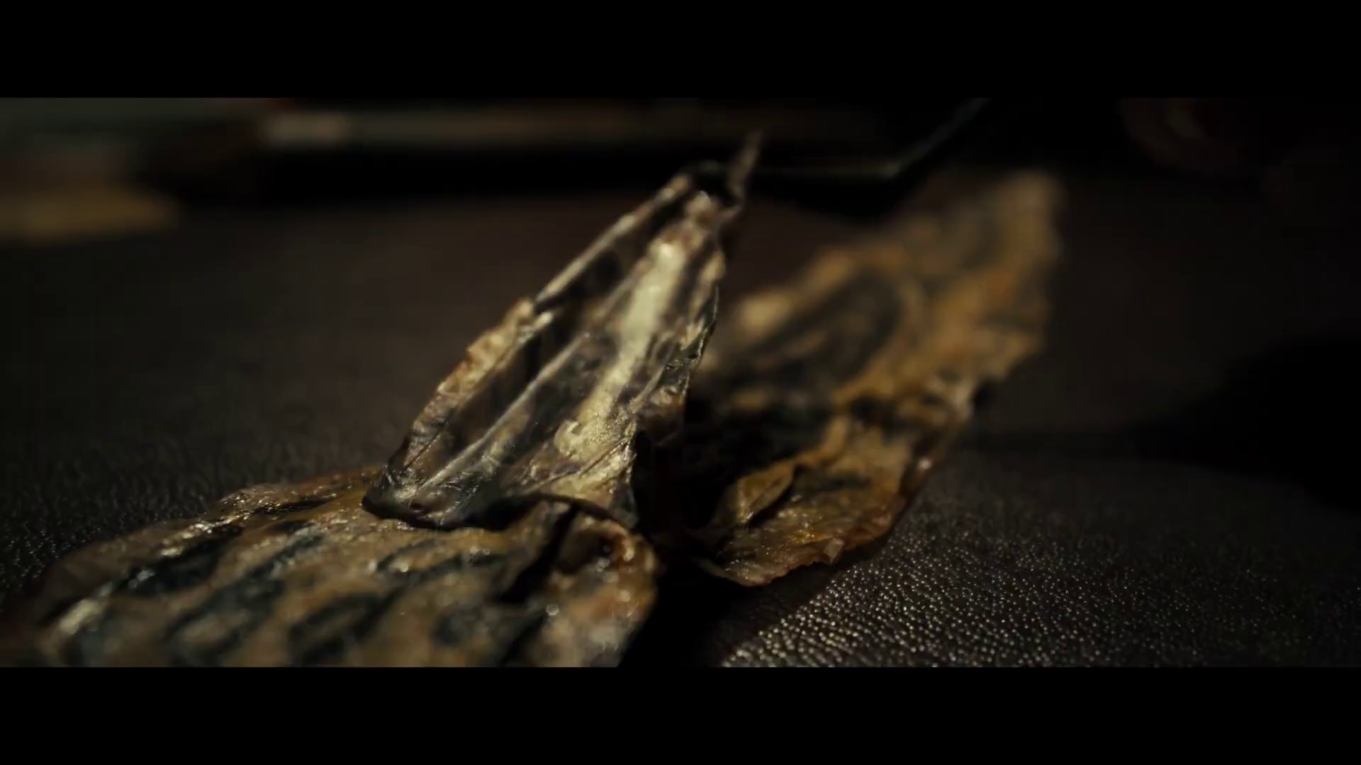 Neşeli bir buluşma, Lee Cronin's The Mummy 'de kabusa dönüşüyor