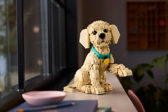 Lego, sevimli Golden Retriever Yavru Köpek Seti sunuyor