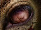 Bambi, Bambi: The Reckoning i&ccedil;in posterde kırmızı g&ouml;r&uuml;yor