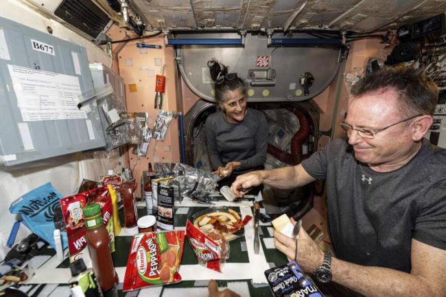 Elon Musk Danimarkalı astronota karşı: Wilmore ve Williams'ın uzaydan dönüşü üzerine astronomik çatışma