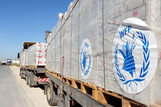 BM, Ukrayna savaşında ve İsrail işgali altındaki Filistin topraklarında cinsel şiddeti belgeledi