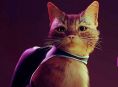 Stray Ağustos'ta Xbox One ve Xbox Series'e geliyor