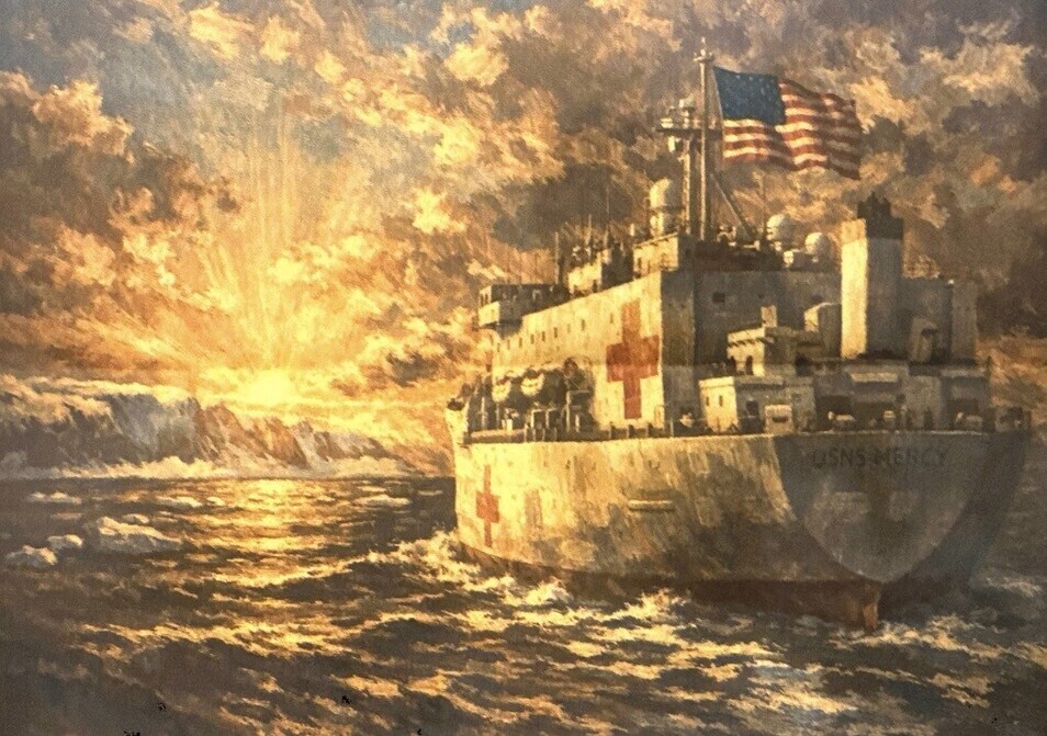 Trump Grönland'a hastane gemisi teklif etti, ancak Grönland başbakanı "hayır teşekkürler" dedi.