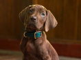 Scooby-Doo, Netflix 'nin canlı aksiyon &ouml;nc&uuml;l serisinde ger&ccedil;ek bir k&ouml;pek olacak Scooby-Doo: Origins 