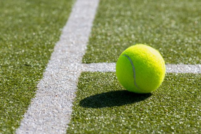 Perşembe ve Cuma Wimbledon yarı finalleri: ATP'de Zverev ve Fery, WTA'da Kostyuk ve Noskova