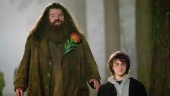 Nick Frost is tapped to take over Hagrid duties in HBO’s Harry Potter reboot